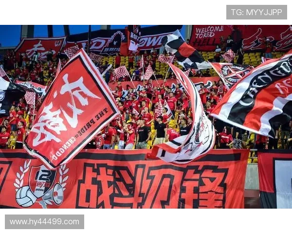 成都刀锋球迷会宣布对球队失望后两场比赛不携装备入场 成都刀锋球迷会宣布对球队失望后两场比赛不携装备入场